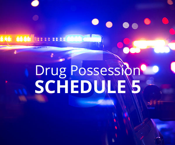 Schedule 5 Drug Possession in Wisconsin: Codeine & Lyrica